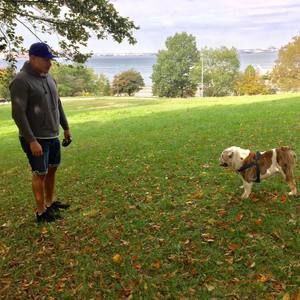 Meet your Posher, Will